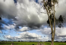 2021欧洲杯赛程表央视是怎么安排直播的？