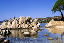 西汉姆联对阵布伦特福德，谁能在这场伦敦德比中占得先机？